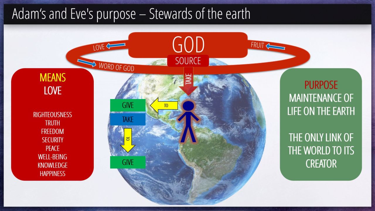 21 Adam‘s and Eve's purpose Stewards of the earth (10/19) 21 Adam‘s and Eve's purpose Stewards of the earth (10/19)